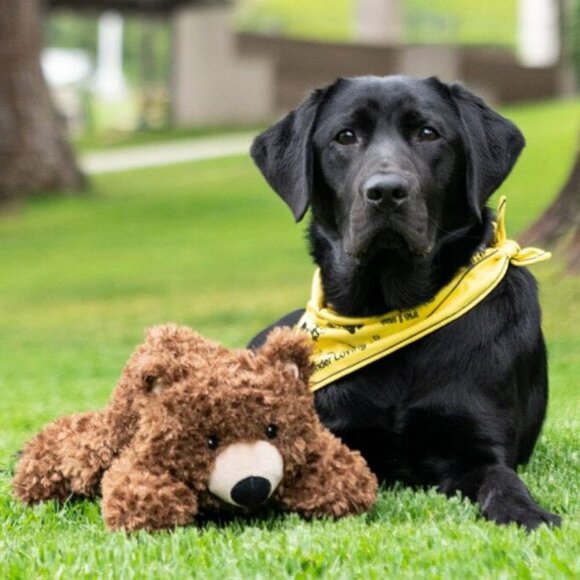 NWT K9 Play California Grizzly Bear Dog Toy - Picture 7 of 7